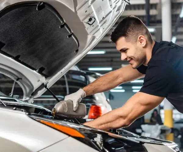 oil change livingston